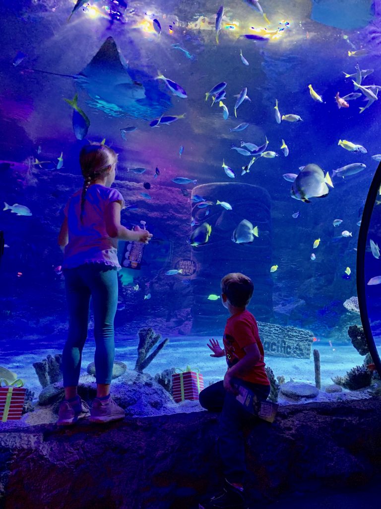 Things to do in Orlando Besides Theme Parks